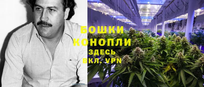 Канабис Ganja  Клин 